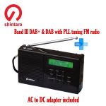 Automatic DAB stations preset scanning